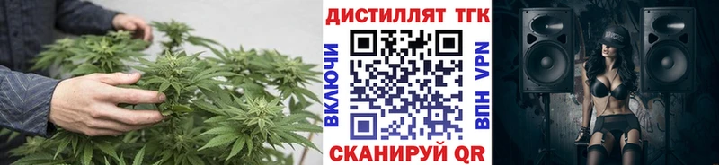 Купить закладки  Чебаркуль  Дистиллят ТГК Wax 