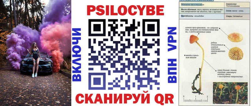 Купить закладки  Чебаркуль  Галлюциногенные грибы Psilocybe 